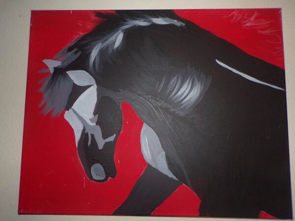 Black Horse, Red Background