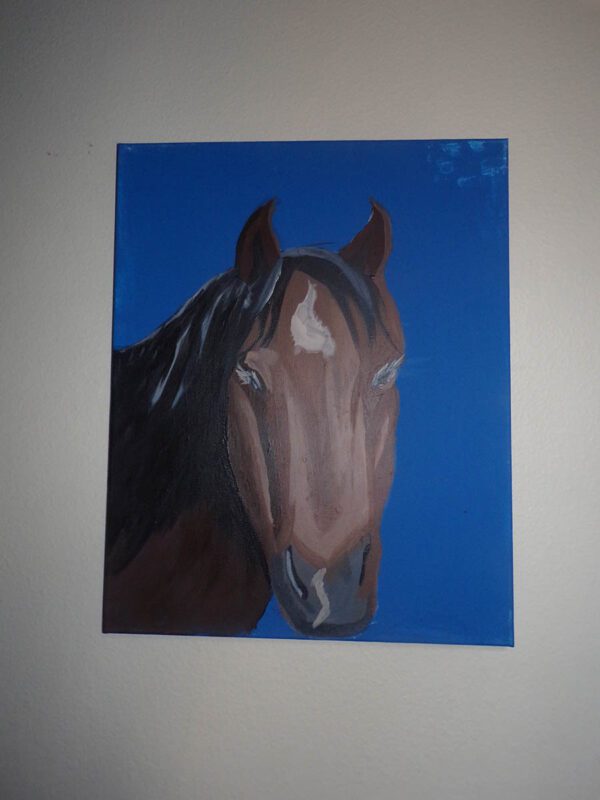 Brown Horse, Blue Background