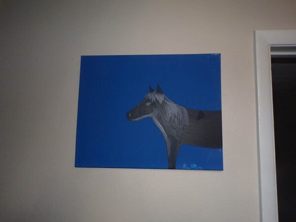 Black Horse, Blue Background