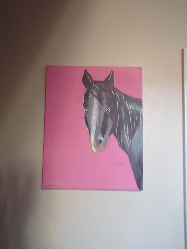 Grey Horse, Pink Background